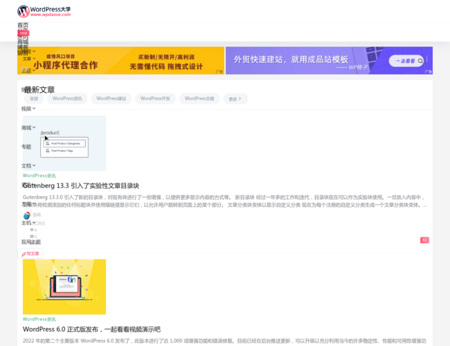 WordPress大学