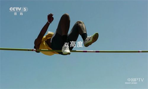 0xGous8Yc7BAqRmE.jpg