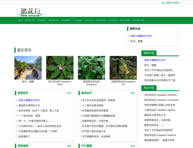 踏花行