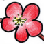 花瓣网