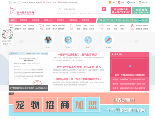 狗的猫宁宠物网–专业宠物商城