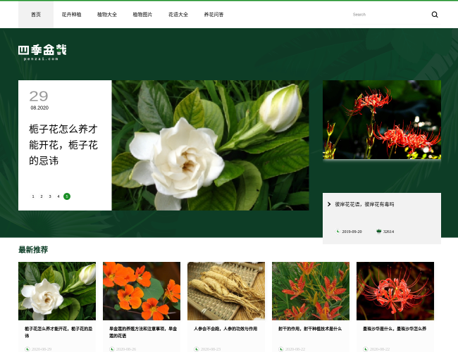 四季盆栽–专业盆栽栽培