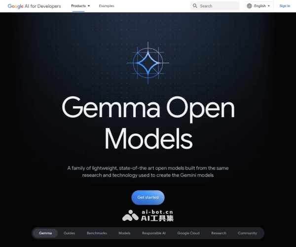 Gemma–谷歌轻量级AI模型