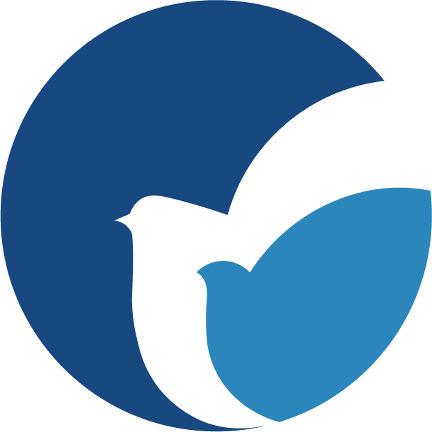 文献调研报告智能文献检索分析
